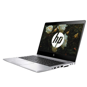 Cumpăra HP EliteBook 745 G6 (Silver)