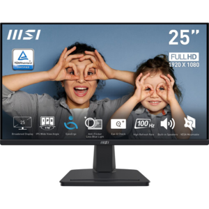 Cumpăra Monitor MSI PRO MP251