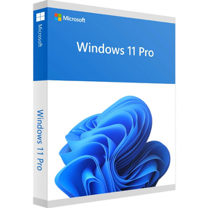 Cumpăra Windows 11 Pro 64Bit Russian 1pk DSP OEI DVD